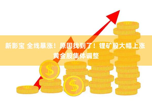 新影宝 全线暴涨！原因找到了！锂矿股大幅上涨 黄金股集体调整