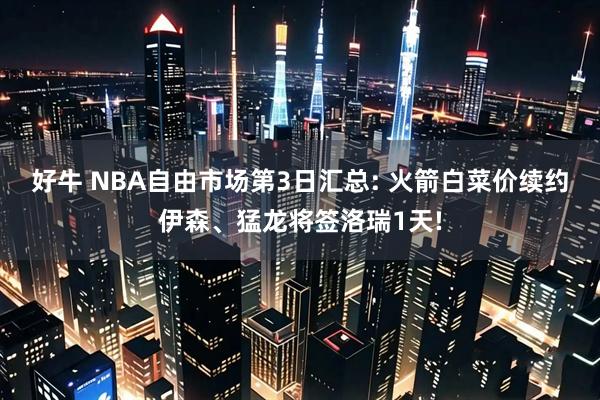 好牛 NBA自由市场第3日汇总: 火箭白菜价续约伊森、猛龙将签洛瑞1天!