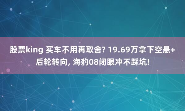 股票king 买车不用再取舍? 19.69万拿下空悬+后轮转向, 海豹08闭眼冲不踩坑!