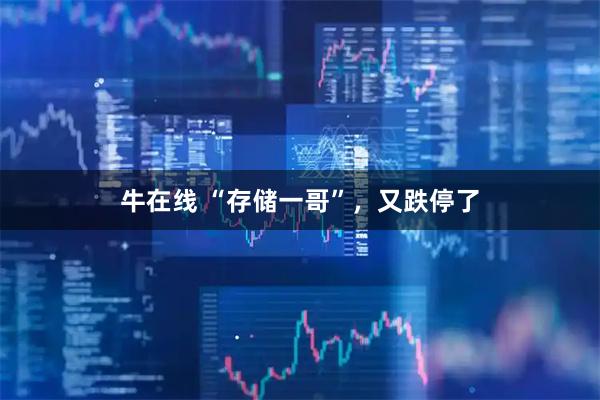 牛在线 “存储一哥”，又跌停了
